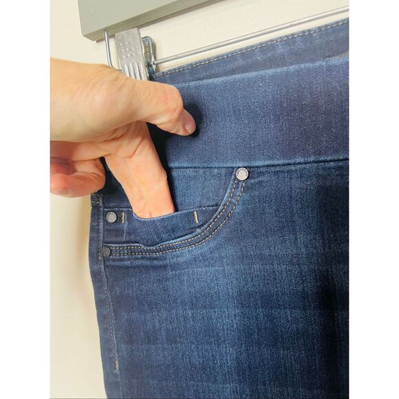 Liverpool Stretch Pull-on Jeggings Sz 8/29 Petite Dunmore Dark - Picture 2 of 10